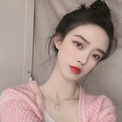 英菲记事簿单机版下载