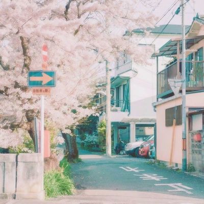 像素屋顶画手机正式版下载