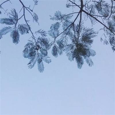 光速勇者手游下载